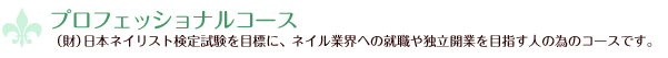 プロフェッショナルコース｜（財）日本ネイリスト検定試験を目標に、ネイル業界への就職や独立開業を目指す人の為のコースです。