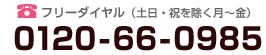 フリーダイヤル（土日・祝を除く月～金）0120-66-0985